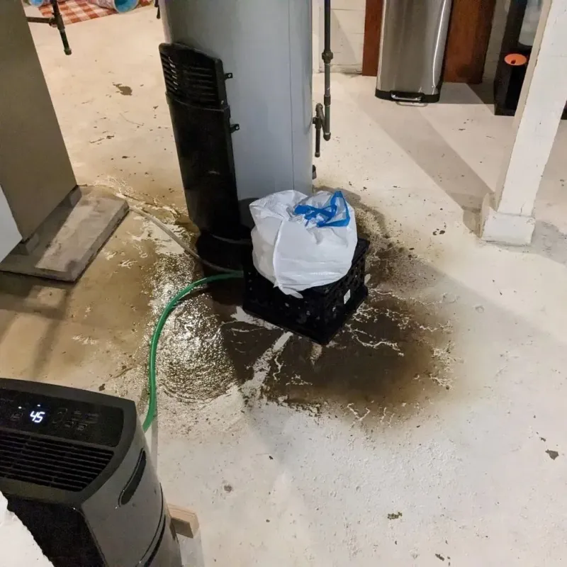 Sewage Backup Cleanup Service in Lassen County, CA